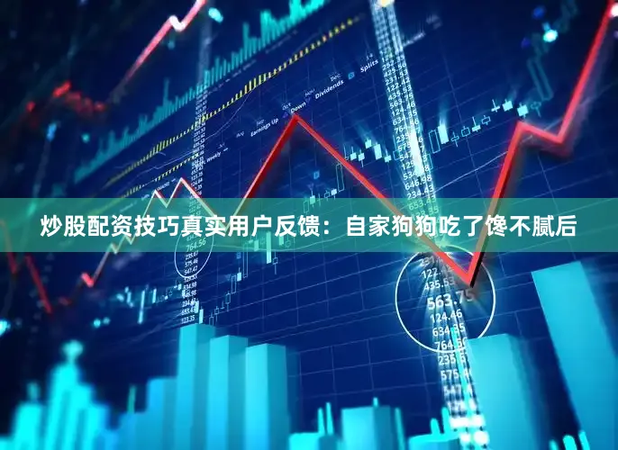 炒股配资技巧真实用户反馈：自家狗狗吃了馋不腻后