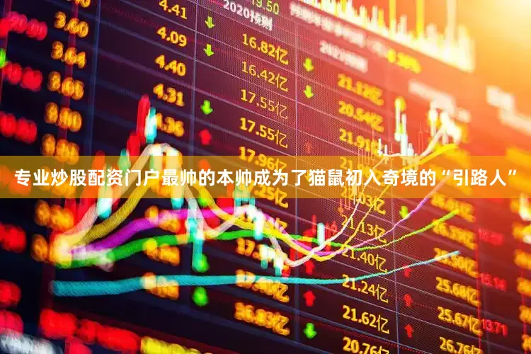 专业炒股配资门户最帅的本帅成为了猫鼠初入奇境的“引路人”