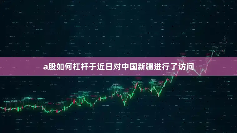 a股如何杠杆于近日对中国新疆进行了访问