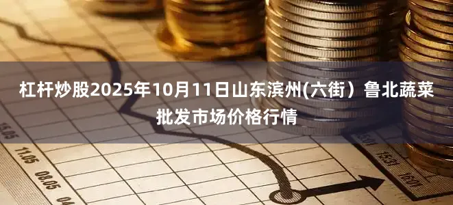 杠杆炒股2025年10月11日山东滨州(六街）鲁北蔬菜批发市场价格行情